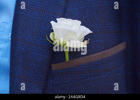 Gros plan d'une boutonnière rose blanche dans une poche d'un veston bleu, selective focus Banque D'Images