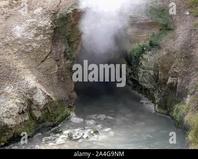 Printemps dans la bouche dragons hayden valley de Yellowstone Banque D'Images