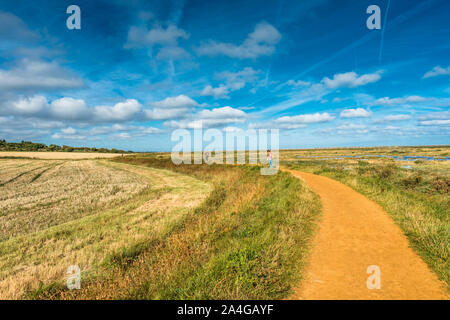 Marais Morston vu depuis le sentier du littoral à Morston Blakeney. Norfolk, Angleterre, Royaume-Uni. Banque D'Images