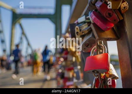 Vue en gros au niveau du groupe des clés maîtresses des cadenas sur courbe fer forgé sur passerelle appelée pont de fer, Eiserner Steg, traverser la rivière principale Banque D'Images