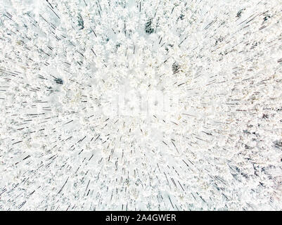 Belle vue aérienne de la neige a couvert de forêts de pins. Le givre blanc et givre couvrant les arbres. Paysage d'hiver pittoresque près de Vilnius, Lituanie. Banque D'Images