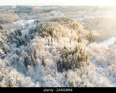 Belle vue aérienne de la neige a couvert de forêts de pins. Le givre blanc et givre couvrant les arbres. Paysage d'hiver pittoresque près de Vilnius, Lituanie. Banque D'Images