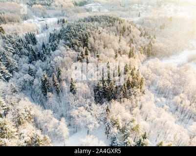 Belle vue aérienne de la neige a couvert de forêts de pins. Le givre blanc et givre couvrant les arbres. Paysage d'hiver pittoresque près de Vilnius, Lituanie. Banque D'Images