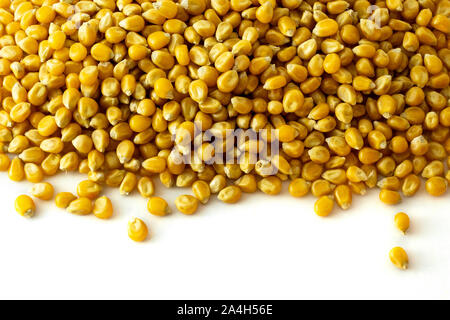 Un groupe de grains de maïs séchés sur fond blanc Banque D'Images