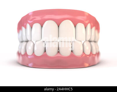 Une paire de la haute et de la séries de dents humaines parfait situé dans un contexte isolé sur les gencives - 3D render Banque D'Images