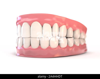 Une paire de la haute et de la séries de dents humaines parfait situé dans un contexte isolé sur les gencives - 3D render Banque D'Images