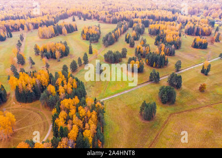 Vue aérienne Vol au dessus de la vallée de l'automne avec Park Meadows, arbres lumineux Banque D'Images