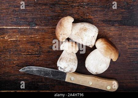 Les champignons Les champignons crus sur la table, sur fond de bois brun. À proximité se trouve un couteau. place pour le texte Banque D'Images