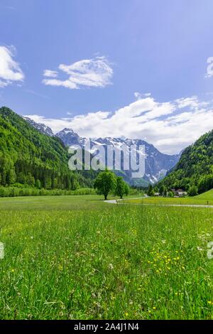 Paysage de montagne, route à travers de vertes prairies dans la vallée de Logar, Cambrai, Slovénie Banque D'Images