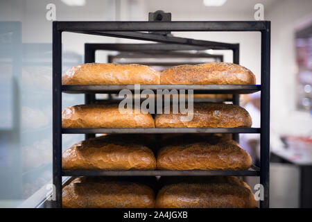 Miches de pain frais cuit sur une grille de refroidissement dans une boulangerie Banque D'Images