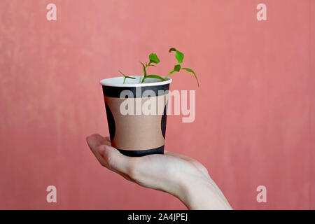 Main de femme tenant la plante dans le pot sur fond de corail Banque D'Images