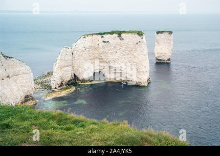 Vue sur Old Harry Rocks, Swanage, Dorset Banque D'Images