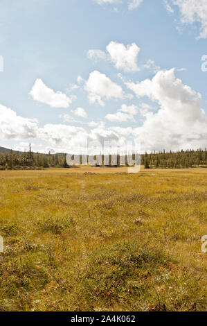 La Norvège, Buskerud, Hemsedal Banque D'Images