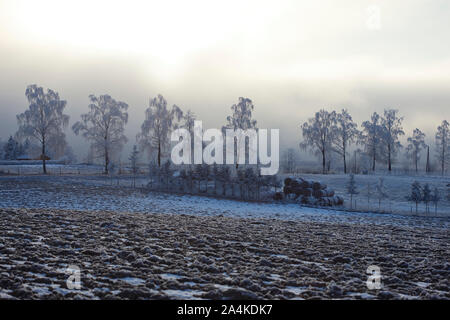 Terrain gelé en Norvège Banque D'Images