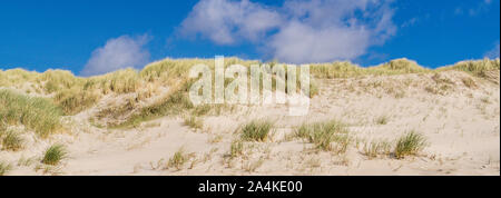 Paysage de dunes sur la côte de la mer du Nord Banque D'Images