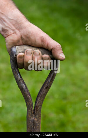 Man gardening - tenue d'un chat Banque D'Images