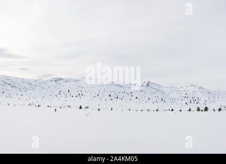 Zone Sulseter la montagne en Norvège Banque D'Images