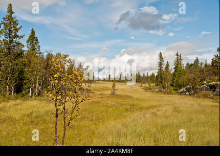 La Norvège, Buskerud, Hemsedal Banque D'Images