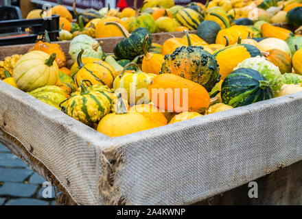 Citrouilles ornementales sur le marché Banque D'Images