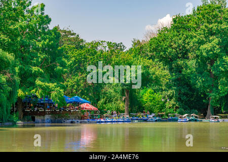 Bucarest, Roumanie - 27 juillet, 2019 : parc Cismigiu à Bucarest, Roumanie. Le lac dans le parc Cismigiu sur une journée ensoleillée avec ciel bleu à Bucarest, R Banque D'Images