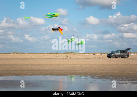 Cerfs-volants colorés deux cerfs-volants en forme de toucan, abeilles et une grenouille dans la plage avec le ciel bleu en arrière-plan Banque D'Images
