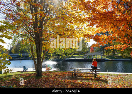 Scène d'automne dans la région de Baysville, et près de High Falls Bracebridge, Ontario, Canada à Muskoka et coloré avec de beaux arbres en automne. folige Banque D'Images