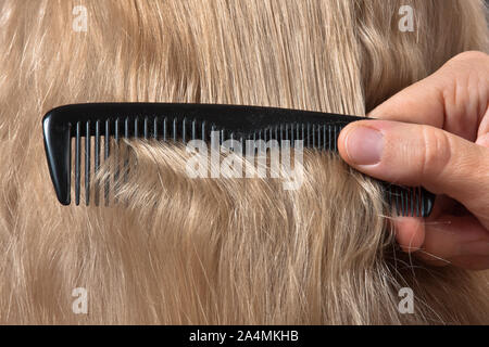 Main de coiffure le peignage des cheveux blonds, closeup Banque D'Images