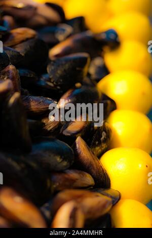 Prêt à manger épicé Moules farcies au riz cuit et citron. Concept de l'alimentation de rue. Région méditerranéenne. En Turquie traditionnelle. Focuse sélective. Banque D'Images