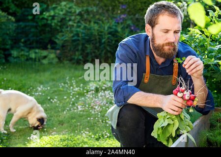 Homme dans le jardin Banque D'Images