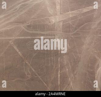 Avion aérienne vue panoramique pour les lignes de Nazca géoglyphe aka parrot , région Ica, Pérou Banque D'Images