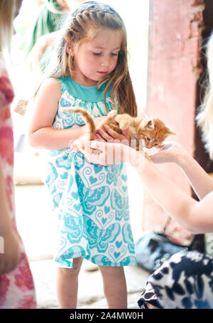 Girl holding kitten Banque D'Images