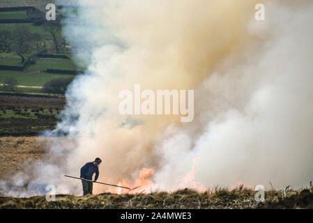 Agriculteur de battre le feu pour contrôler la combustion de Heather [6] Banque D'Images