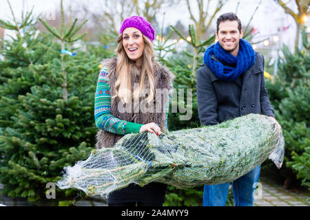 Couple carrying Christmas Tree acheté Banque D'Images