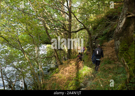 Les promeneurs sur la West Highland way aux côtés de Loch Lomond, juste au nord de Rowadennan Banque D'Images