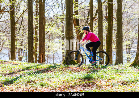 La forêt au printemps cycliste Banque D'Images