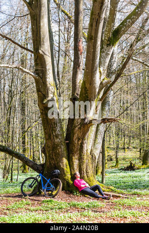 Cycliste au repos dans forest Banque D'Images