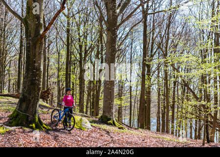 La forêt au printemps cycliste Banque D'Images