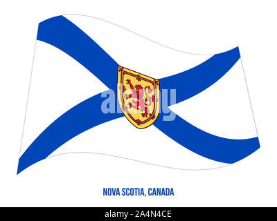 La Nouvelle-Écosse Drapeaux Vector Illustration sur fond blanc. Drapeau provinces du Canada. Bonne taille, de proportions et de couleurs. Banque D'Images