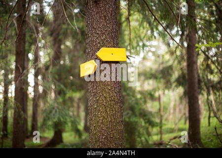Signes de flèche sur tronc d'arbre Banque D'Images