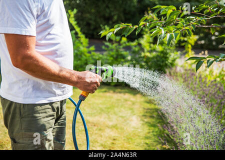 Homme d'arrosage jardin Banque D'Images