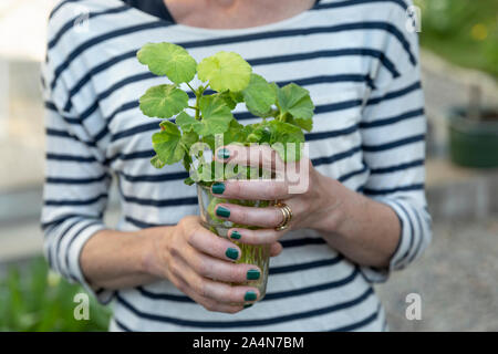 Woman holding glass avec des feuilles Banque D'Images