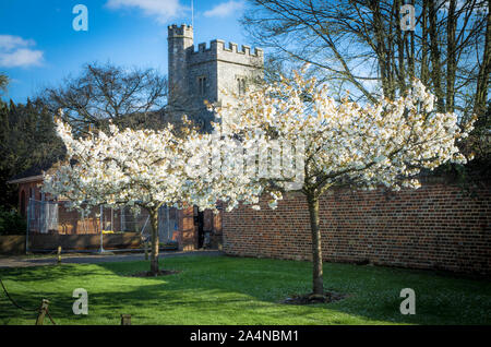 Farningham Blossom village Banque D'Images