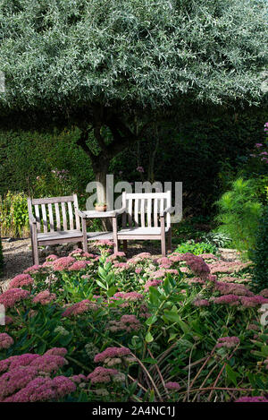 Un beau jardin relaxant avec des fleurs roses Sedum couverture de meubles de jardin et un arbre de saule blanc dans un jardin à Sawdon North Yorkshire Angleterre Royaume-Uni Banque D'Images