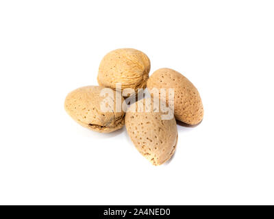 Amandes isolé sur fond blanc Banque D'Images