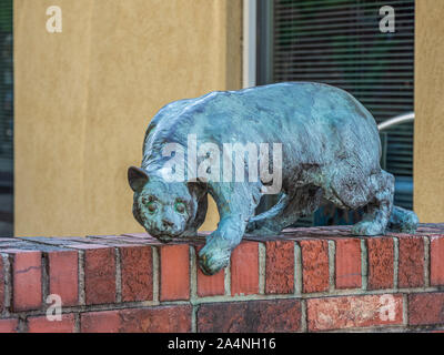 Cat Walk sculpture sur Wall Street dans le centre-ville de Asheville, Caroline du Nord Banque D'Images