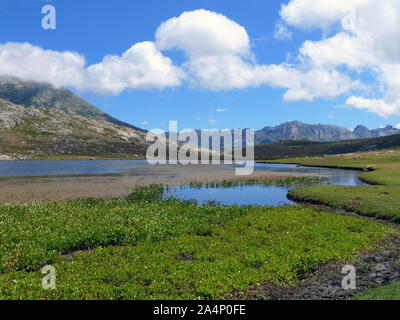 Lac De Nino, Lac Nino, Corse, France, Europe Banque D'Images