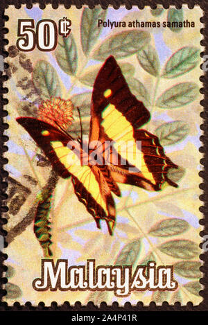 Beau papillon sur des timbres de Malaisie Banque D'Images