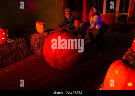 Los Angeles, USA. 14Th Oct, 2019. Les enfants ont plaisir à 'Pumpkin Night' à Los Angeles, États-Unis, le 14 octobre, 2019. Credit : Qian Weizhong/Xinhua/Alamy Live News Banque D'Images