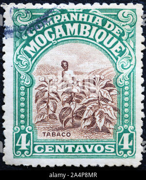 Plantation de tabac sur les vieux timbre de Mozambique Banque D'Images