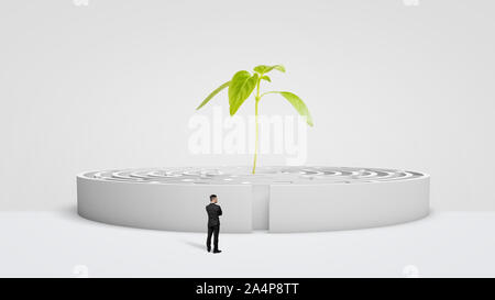 Un homme debout devant un rond blanc labyrinthe avec une nouvelle plante verte à partir de son centre. Banque D'Images